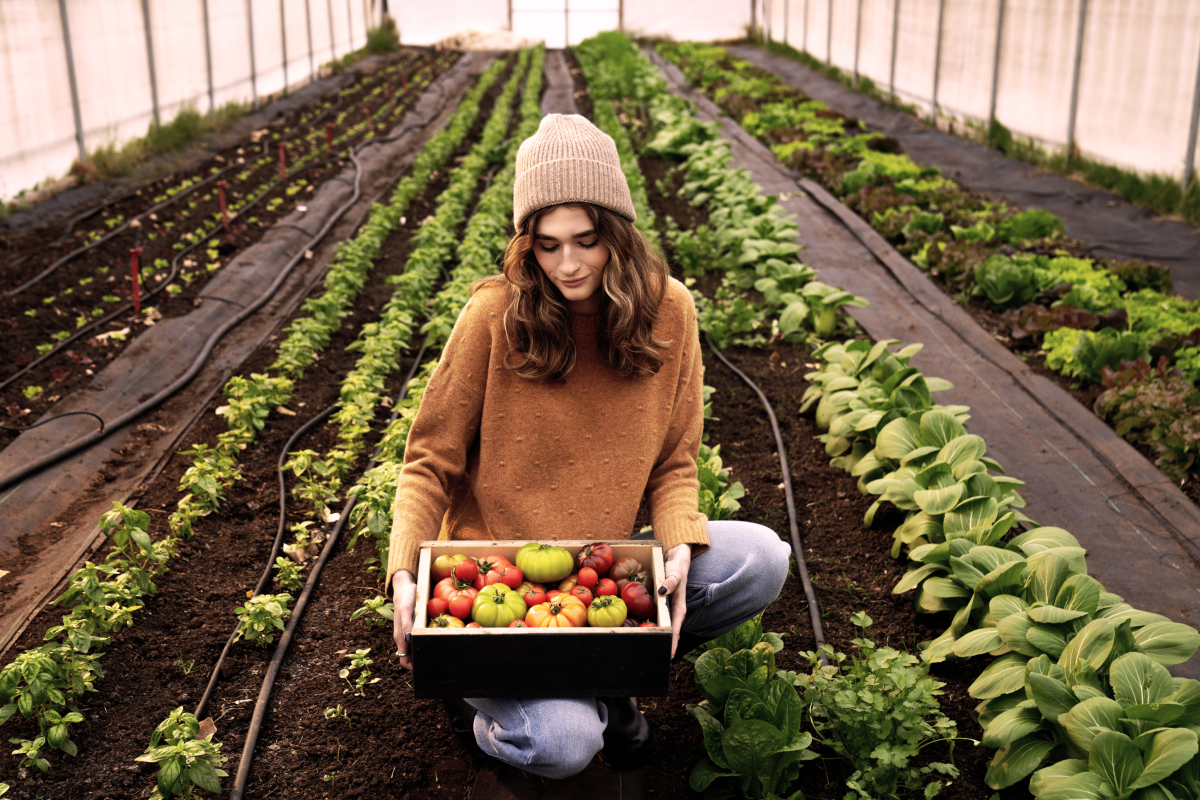 Rooftop Farm 1